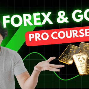 Forex & Gold PRO Courses