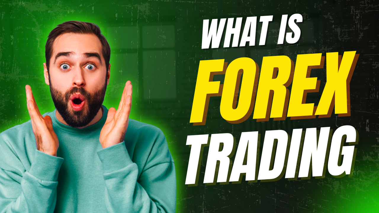 Your Gateway to Forex Trading Success
